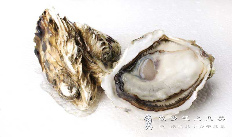 牡蛎 ostrea gigas thunberg mǔ lì 【生蚝】