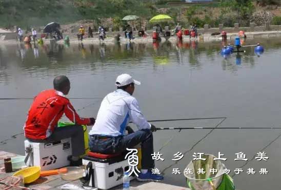 老司机教你根据水的颜色进行钓鱼【看水钓鱼】鱼获满满