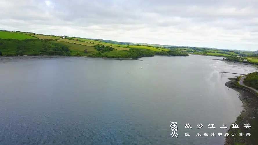 夏季钓鲢鳙六要领请记住了！