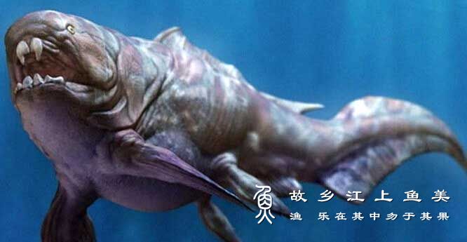 盾皮鱼  dùn pí yú  Placodermi